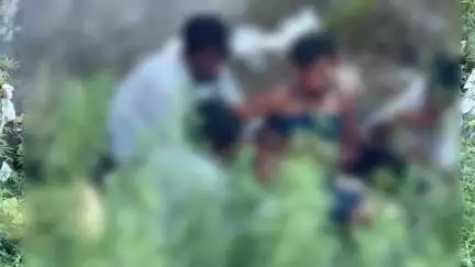 थानेसर: कुरुक्षेत्र जिले में बढ़ रहा नशा, सरेआम नशा कर रहे युवा, पुलिस का खौफ नहीं