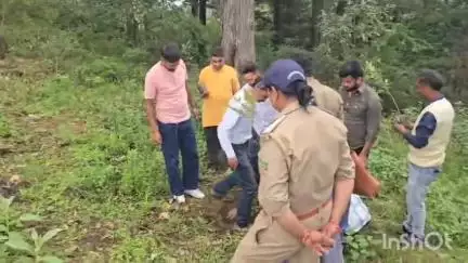 अल्मोड़ा: वन महोत्सव सप्ताह के तहत सिमतोला ईको पार्क में पौधारोपण हुआ, लोगों को वनों के संरक्षण और संवर्द्धन के लिए किया प्रेरित