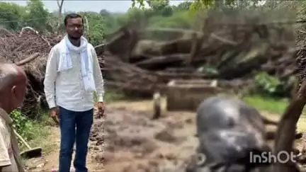 बिंदकी: कृपालपुर गांव में आकाशीय बिजली गिरने से लगभग ₹1 लाख की भैंस की हुई मौत, सूचना पर पहुंचे हल्का लेखपाल