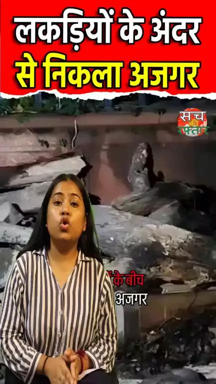 द्वारका: कोटा में झोपड़ी में घुसा 9 फीट लंबा अजगर, मची अफरा-तफरी | #Shorts | Reels | Sach Ki Raftar