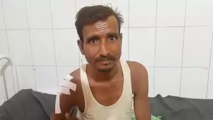 तिलहर: महियावर गांव में पेड़ों को छटवाने को लेकर दो पक्षों में मारपीट, एक व्यक्ति घायल, पुलिस ने शुरू की जांच