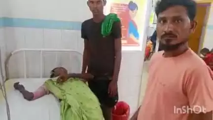 बांका: जगाय गांव में मधुमक्खियों के झुंड ने वृद्ध महिला पर किया हमला, गंभीर हालत में अस्पताल में भर्ती