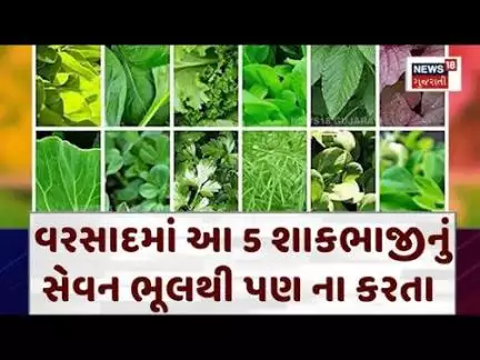 Monsoon Health News : વરસાદમાં આ 5 શાકભાજીનું સેવન ભૂલથી પણ ના કરતા, ઝેરની જેમ અસર કરશે ! | N18V