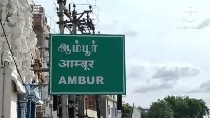 ஆம்பூர்: பனங்காட்டேரி மலைச்சாலையில் ஒற்றைதந்தத்துடன் ஒற்றை காட்டுயானை நடமாட்டம் வனத்துறையினர் எச்சரிக்கை
