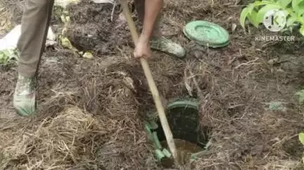 গোলাঘাট: হাবিচোৱাত অবৈধ চুলাইৰ বিৰুদ্ধে আবকাৰী বিভাগে চলোৱা অভিযানত গাঁত খান্দি উলিওৱা হয় দুই হাজাৰ লিটাৰকৈ অধিক চুলাই মদ
