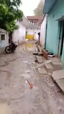 इन दिनों बरसात के मौसम में अकलतरण संजय नगर के वार्ड नंबर 4 के पार्षद सो रहे हैं और देखे वार्ड की गली की कैसे हैं