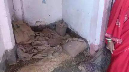 सरिया: हथियों के झुण्ड ने सरिया क्षेत्र के फकीरापहरी के पीडीएएस दुकान के अनाज को चट कर गया l