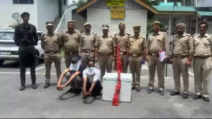 चम्बा: संरक्षित वन्यजीवों का शिकार करने के मामले में वन विभाग ने रंगे हाथों दो लोगों को पकड़ा