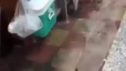 बुलंदशहर: मुंडाखेड़ा में मिठाई की दुकान पर खाद्य सुरक्षा विभाग की टीम ने की जांच, दूध-दही को कुत्ते-बिल्ली खाते का वीडियो वायरल