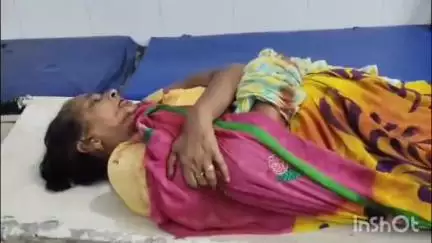 छिबरामऊ: पीपल वाली गली की एक महिला छत से गिरकर गंभीर रूप से घायल, भर्ती कराई गई, हालत गंभीर, हायर सेंटर रेफर