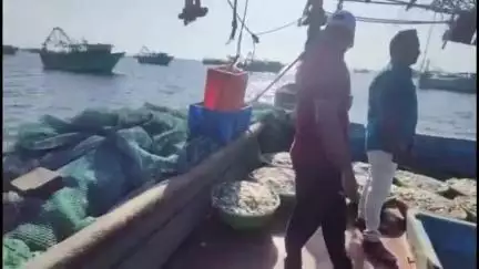 இராமேஸ்வரம்: மீன்பிடி துறைமுகத்தில் தடை செய்யப்பட்ட வலைகளை பயன்படுத்தி மீன் பிடித்த விசைப்படகு மீது வழக்குப் பதிவு மீன்கள் மற்றும் மீன்பிடி வலைகள் பறிமுதல்