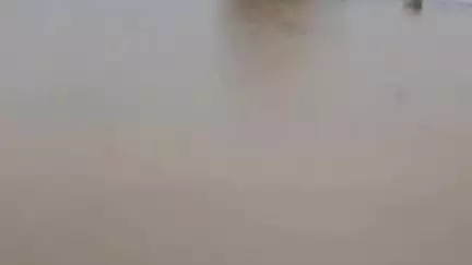 महाबळेश्वर: जावळी तालुक्यात 80 टक्के पेरण्या न झाल्याने ओला दुष्काळ जाहीर करण्याची, आम्ही जावळीकर संघटनेची मागणी