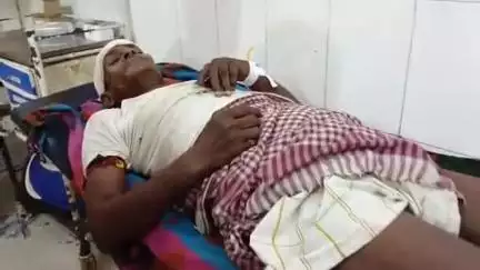 सीतापुर: नवा महमूदपुर ग्राम पंचायत में लड़कट्टो द्वारा काटे जा रहे पेड़ बुजुर्ग के ऊपर गिरा, हुआ घायल