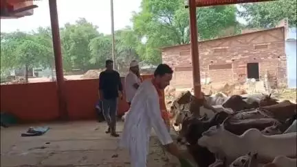 करौली: यादव वाटी गौशाला में भाजपा अल्पसंख्यक मोर्चा के प्रदेश अध्यक्ष हमीद मेवाती का भाजपाइयों ने मनाया जन्मदिन