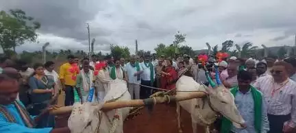 ಹನೂರು: ಚಿಂಚಳ್ಳಿಯಲ್ಲಿ ನೇಗಿಲು ಹಿಡಿದು ಉಳುಮೆ ಮಾಡಿದ ಕೃಷಿ ಸಚಿವ ಚೆಲುವರಾಯಸ್ವಾಮಿ‌