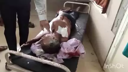 राहतगढ़: बेहटा अलीनगर गांव के पास जंगल में तेंदुए का हमला, एक आदमी गंभीर रूप से हुआ घायल