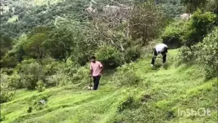सोलन: ग्राम पंचायत सनहोल में जिला युवा कांग्रेस ने पौधरोपण कार्यक्रम किया आयोजित