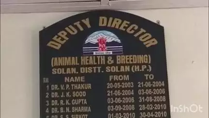 सोलन: बरसात के दिनों में पशुओं में होने वाली गलघोंटू और लंगड़ेपन की बीमारी के लिए पशुपालन विभाग के पास पहुंची वैक्सीन