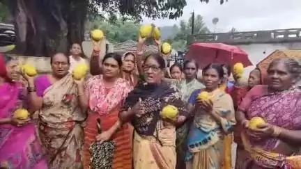 అల్లూరి ఏజెన్సీ గిరి పుత్రులకు తన తోటలో పండించిన మామిడి పళ్ళు పంపించిన డిప్యూటీ సీఎం పవన్ కళ్యాణ్