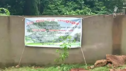 ଢେଙ୍କାନାଳ ସଦର: ସ୍ଥାନୀୟ ଲେଖକ ସଂସଦ ଠାରେ ଜିଲ୍ଲା ଅବସରପ୍ରାପ୍ତ ବନ ଅଧିକାରୀ କଲ୍ୟାଣ ସଂଘ ପକ୍ଷରୁ ବୃକ୍ଷ ରୋପଣ କାର୍ଯ୍ୟକ୍ରମ ଅନୁଷ୍ଠିତ