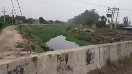 रोहतक: ड्रेन नंबर 8 की सफाई ठीक से न होने के कारण लोगों को सता रहा है बाढ़ का कहर लोगों के आरोप हालत नहीं है ठीक #jansamsya