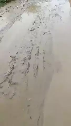 कोई भी सुनवाई नहीं कर रहा है ग्राम हाथिया बरसाना रोड
