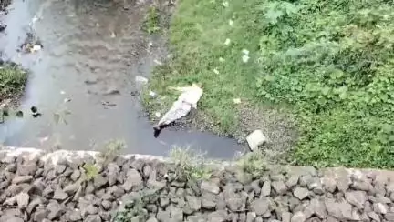 अकोला: रेल्वे रुळाच्या बाजूच्या खड्ड्यात पडून एका व्यक्तीचा मृत्यू; मोठी उमरी परिसरातील घटना