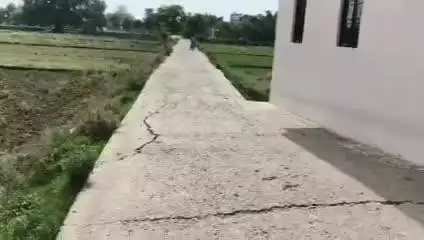 मोहनिया: विधायक फंड से मुबारकपुर में बनी सड़क 6 माह में टूटी विधायक ने कहा ओवरलोड से टूटी सड़क होगी जांच #Jansamasya