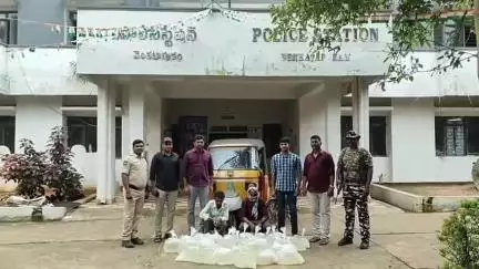 వెంకటాపురం: వెంకటాపురం లో గుడుంబా తరలిస్తున్న ఇద్దరి అరెస్ట్