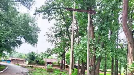 कोंडागांव: तराईबेड़ा में बिजली पोल की मरम्मत से ग्रामीणों को मिली राहत, पब्लिक एप की खबर का दिखा असर