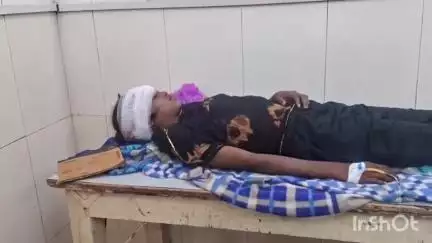 सबलगढ़: रहुघाट में चंबल नदी पर पानी लेने गई बच्ची पर मगरमच्छ का हमला, बच्ची गंभीर रूप से घायल