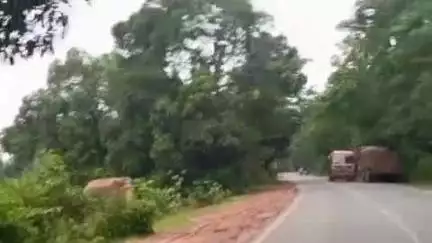 କେନ୍ଦୁଝର ସହର: ରଜିଆ-ରିମୁଳି ରାସ୍ତା ଅତିକ୍ରମ କଲା ଗୋଠଛଡା ଦନ୍ତା , ଯାତାୟାତ ପ୍ରଭାବିତ