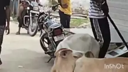 भीलवाड़ा: बाबाधाम क्षेत्र में सड़क पर गिरे स्कूटी सवार को उठाने पर महिला को पड़ा भारी, स्कूटी सवार ने की मारपीट