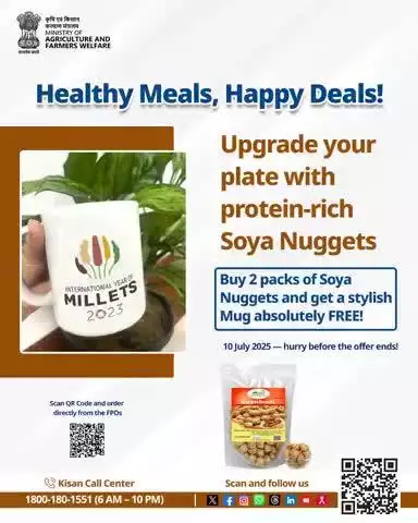 Buy 2 protein-rich Soya Nugget packs & get a FREE stylish mug!
Order now: https://www.mystore.in/en/product/soyabadi-5
Offer till 10 July!
