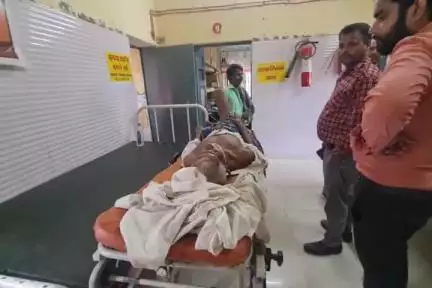 सहावर: पिथनपुर के निकट बकरी बचाने के प्रयास में बाइक फिसली, दो लोग हुए घायल