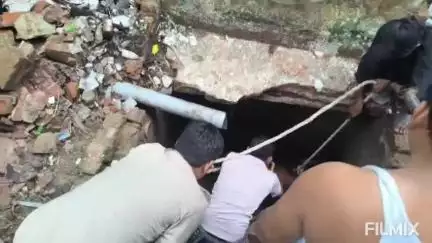 मुरैना नगर: बेरियल पर यातायात थाने के पास खुले गड्ढे में गिरा गोवंश, पुलिस और गौसेवकों ने सुरक्षित बाहर निकाला