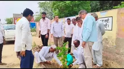 भादरा: गांव घेऊ में ग्राम पंचायत की ओर से लगाए जाएंगे तीन हजार पौधे