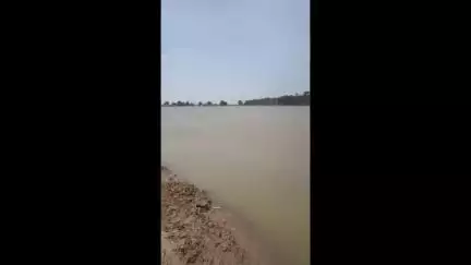 एलेनाबाद: गांव कोटली के पास नहर टूटने से लगभग तीन सौ एकड़ फसल जलमग्न, किसानों ने मुआवजे की मांग की