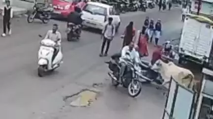 ಕಲಬುರಗಿ: ವೈರಲ್ ವಿಡಿಯೋಗೆ ಕಲಬುರಗಿ ಜನ ಶಾಕ್: ನಗರದಲ್ಲಿ ಬಿಡಾಡಿ ದನಗಳ ದಾಳಿ ವಿಚಾರದಲ್ಲಿ ವಾಸ್ತವ ಏನು?