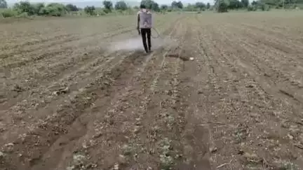 नागपूर शहर: खरीप हंगामात नागपूर विभागात ३५.४२ टक्के पेरणी पूर्ण; जिल्हाधिकारी कार्यालयाची माहिती