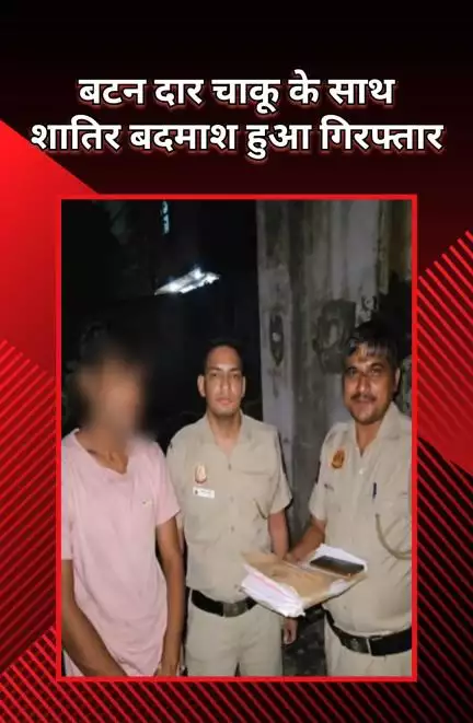 पंजाबी बाग: निहाल विहार पुलिस ने बटनदार चाकू के साथ वारदात करने निकले आरोपी को दबोचा, भेजा जेल