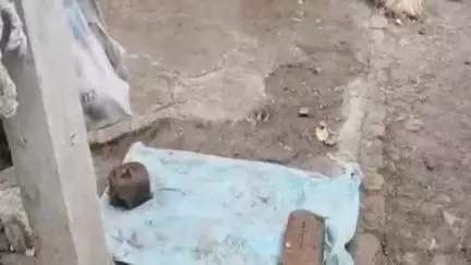केज: आईला मारलेल्या मुलाला सोडू नका त्याच्यापासून सर्व कुटुंबाला धोका, तरनळी येथे आरोपीच्या बहिणीची पोलिस प्रशासनाकडे मागणी