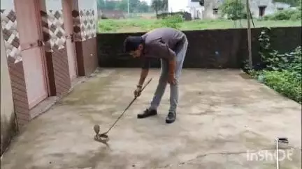 ବୀରମିତ୍ରପୁର: ବନବିଭାଗକୁ ହସ୍ତାନର କରାଗଲା ଉଦ୍ଧାର କରାଯାଇଥିବା ନୂଆଗାଁ ବ୍ଲକର ଚୁଆଁବାହାଲ ଗ୍ରାମର ନାଗସାପକୁ I