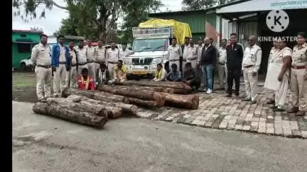अमरवाड़ा: अमरवाड़ा वन विभाग ने पिकअप वाहन सहित 11 सागौन के लठ्ठे ज़ब्त किए, 6 आरोपी गिरफ्तार, मामला दर्ज