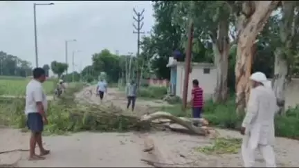 बड़ौत: दोघट में हाईटेंशन लाइन पर पेड़ आने से बाधित हुई विद्युत आपूर्ति को लाइनमैनों ने पेड़ कटवाकर किया सुचारू