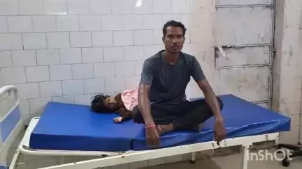 मरवाही: सेमरदर्री में मछली-चावल खाने के बाद एक ही परिवार के 4 लोगों की बिगड़ी तबीयत, 25 वर्षीय युवती की हुई मौत