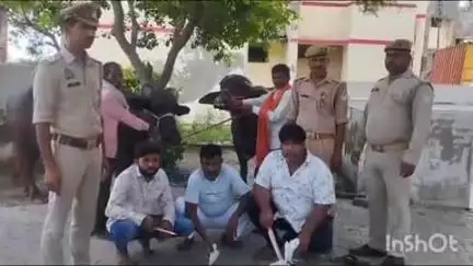 सिकंदराराऊ: सिकन्द्राराऊ पुलिस ने पशु क्रूरता अधिनियम के 3 अभियुक्तों को किया गिरफ्तार, कब्जे से भैंस व काटने के उपकरण बरामद