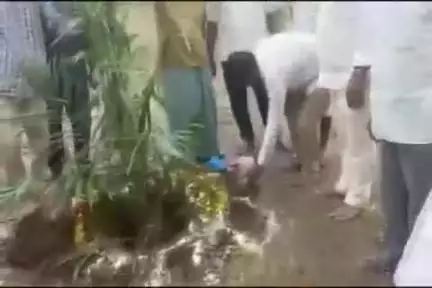 ఆర్మూర్: ఖానాపూర్ గ్రామంలో ఉద్యానవన శాఖ ఆధ్వర్యంలో ఆయిల్ ఫామ్ మొక్కల పెంపకం పై రైతులకు అవగాహన