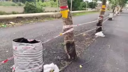 जहानाबाद: ₹100 करोड़ की सड़क के बीच पेड़ों का मामला तूल पकड़ने के बाद पथ निर्माण विभाग ने बरती एहतियात
