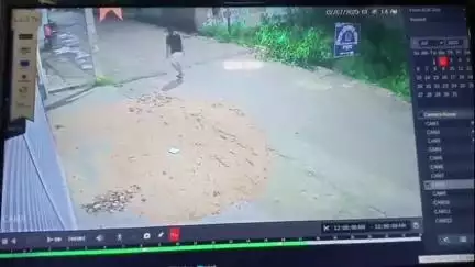 लोहरदगा: शहरी क्षेत्र के साइडिंग कुटमू में चोर किसान की दुधारू गाय चोरी कर ले गए, वारदात सीसीटीवी में कैद